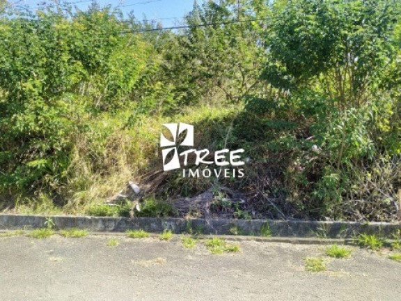 Imagem Terreno à Venda, 531 m² em Pouso Alegre - Santa Isabel Imagem Terreno à Venda, 531 m² em Pouso Alegre - Santa Isabel