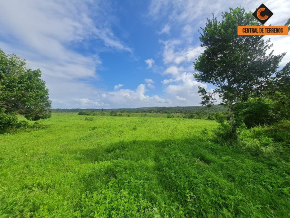 Imagem Imóvel com 2 Quartos à Venda, 975.787 m² em Barra De Pojuca - Camaçari