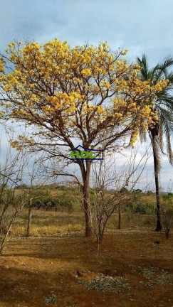 Imagem Fazenda à Venda, 32 m² em Zona Rural - Professor Jamil Imagem Fazenda à Venda, 32 m² em Zona Rural - Professor Jamil