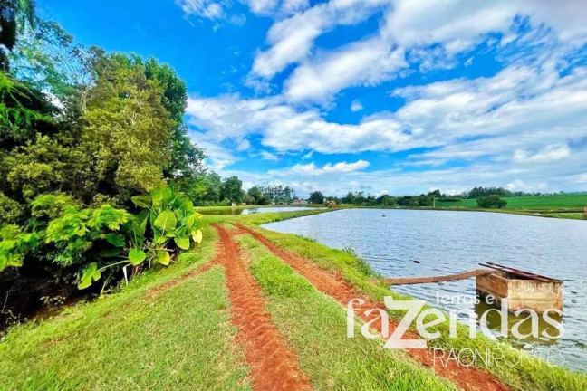 Imagem Fazenda à Venda, 187.200 m² em Vila Nova - Toledo