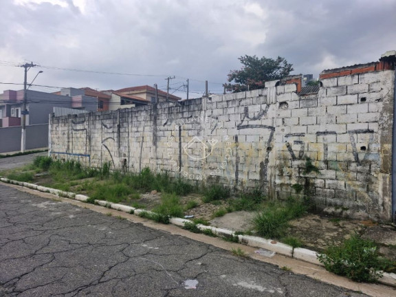 Terreno à Venda, 215 m² em Vila Matilde - São Paulo