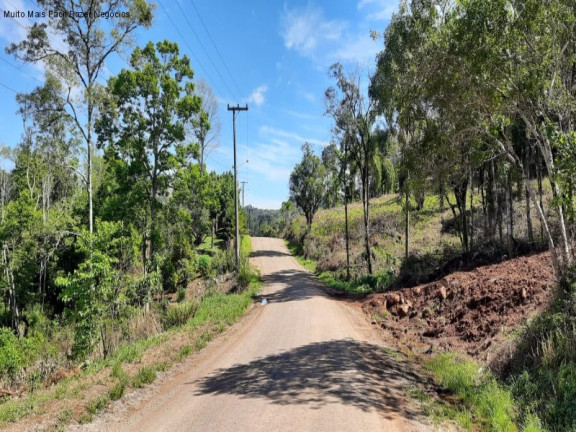 Imagem Terreno à Venda, 675 m² em Piá - Nova Petrópolis Imagem Terreno à Venda, 675 m² em Piá - Nova Petrópolis