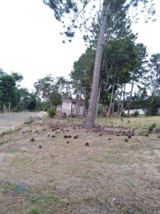 Imagem Terreno à Venda, 450 m² em Ratones - Florianópolis Imagem Terreno à Venda, 450 m² em Ratones - Florianópolis