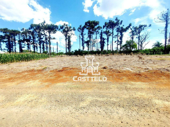 Imagem Chácara à Venda, 1.000 m² em Zona Rural - Londrina