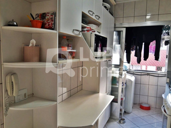 Imagem Apartamento com 3 Quartos à Venda, 64 m² em Vila Constança - São Paulo Imagem Apartamento com 3 Quartos à Venda, 64 m² em Vila Constança - São Paulo