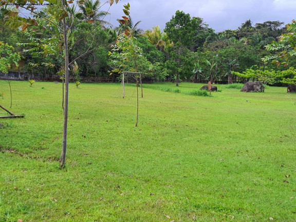 Imagem Chácara com 6 Quartos à Venda, 350 m² em Jardim Somar - Peruíbe Imagem Chácara com 6 Quartos à Venda, 350 m² em Jardim Somar - Peruíbe