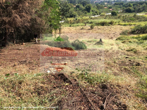 Terreno à Venda, 8.000 m² em Chacaras Catagua - Taubaté