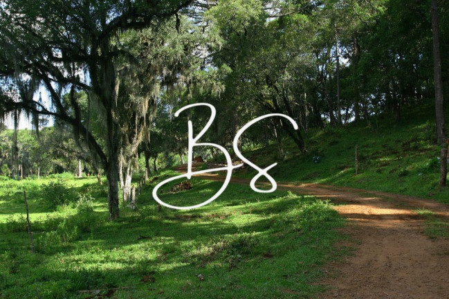 Imagem Terreno à Venda, 60.000 m² em Barragem Do Salto - São Francisco De Paula
