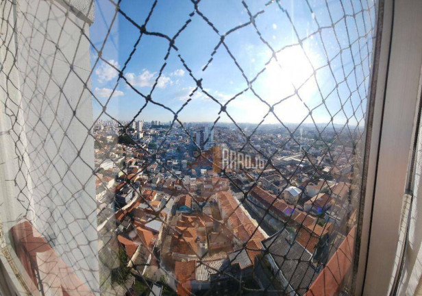 Imagem Apartamento com 3 Quartos para Alugar, 80 m² em Vila Santana - São Paulo Imagem Apartamento com 3 Quartos para Alugar, 80 m² em Vila Santana - São Paulo