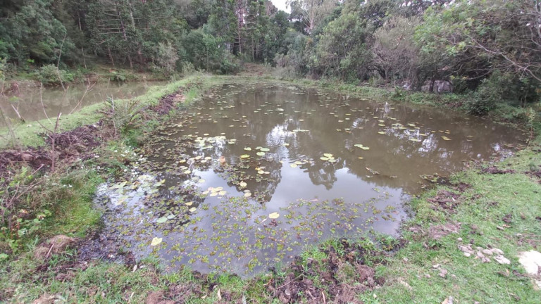 Imagem Chácara com 3 Quartos à Venda, 11 m² em Olaria - Bocaiúva Do Sul