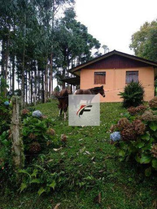 Imagem Chácara com 4 Quartos à Venda, 145.200 m² em Palmitalzinho - Quatro Barras