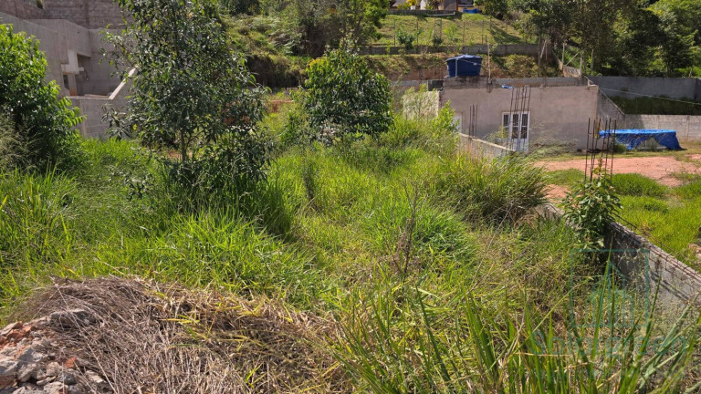 Imagem Terreno em Condomínio à Venda, 500 m² em Jundiaizinho (terra Preta) - Mairiporã Imagem Terreno em Condomínio à Venda, 500 m² em Jundiaizinho (terra Preta) - Mairiporã