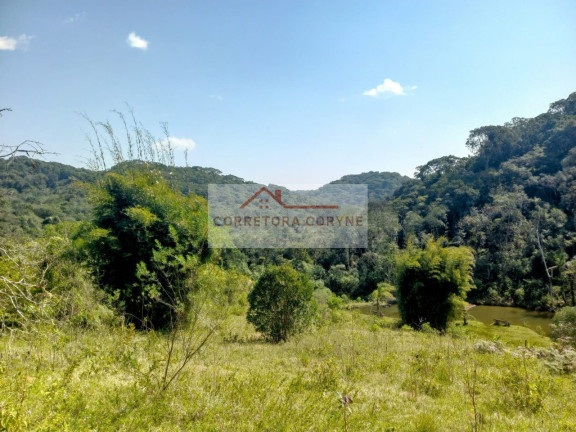 Imagem Terreno à Venda, 24.000 m² em Palmeiras - Juquitiba Imagem Terreno à Venda, 24.000 m² em Palmeiras - Juquitiba