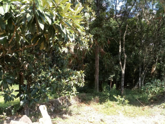 Terreno à Venda, 1.092 m² em Linha Brasil - Nova Petrópolis