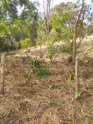 Imagem Terreno à Venda, 100 m² em Bandeira Branca - Jacareí