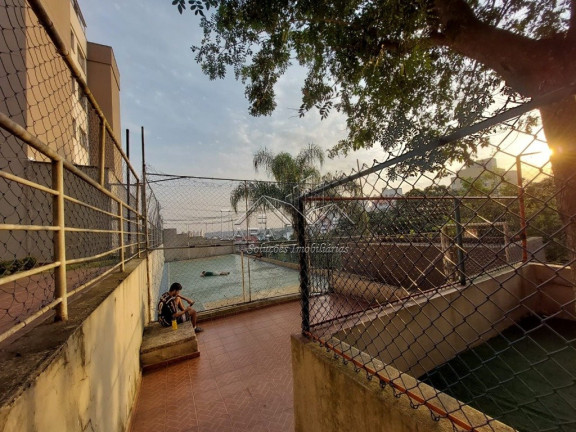 Imagem Apartamento com 3 Quartos à Venda, 56 m² em Jardim Santa Terezinha (zona Leste) - São Paulo Imagem Apartamento com 3 Quartos à Venda, 56 m² em Jardim Santa Terezinha (zona Leste) - São Paulo