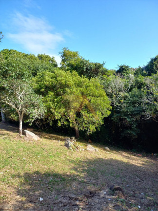 Imagem Imóvel com 3 Quartos à Venda, em Vigia - Garopaba Imagem Imóvel com 3 Quartos à Venda, em Vigia - Garopaba