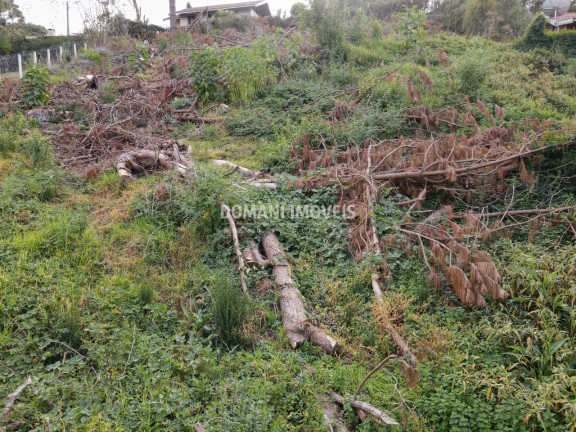 Imagem Terreno à Venda, 1.110 m² em Região De Descansópolis - Campos Do Jordão