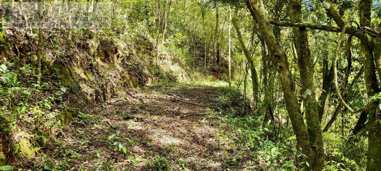 Imagem Chácara à Venda, 1.236.000 m² em Centro - Santo Antônio Do Pinhal Imagem Chácara à Venda, 1.236.000 m² em Centro - Santo Antônio Do Pinhal