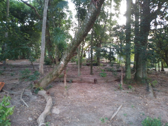 Imagem Chácara com 3 Quartos à Venda, 24 m² em Aparecida - Araçoiaba Da Serra Imagem Chácara com 3 Quartos à Venda, 24 m² em Aparecida - Araçoiaba Da Serra