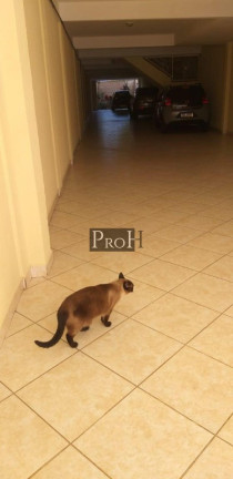 Imagem Apartamento com 2 Quartos à Venda, 84 m² em Campestre - Santo André Imagem Apartamento com 2 Quartos à Venda, 84 m² em Campestre - Santo André