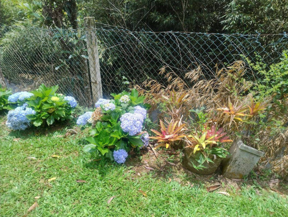 Imagem Casa com 3 Quartos à Venda, 3 m² em Mury - Nova Friburgo