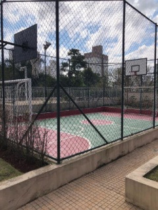 Imagem Apartamento com 3 Quartos à Venda, 63 m² em Jardim Celeste - São Paulo