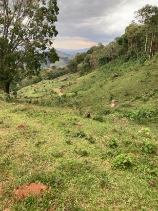 Imagem Terreno à Venda, 84.700 m² em São Domingos - Congonhal Imagem Terreno à Venda, 84.700 m² em São Domingos - Congonhal