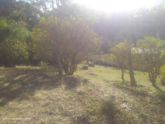 Imagem Chácara à Venda,  em Consultar - Ibiúna