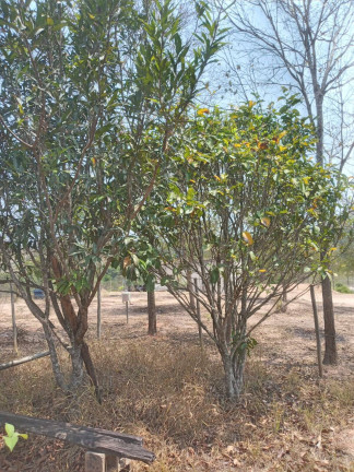 Imagem Chácara à Venda, 1.999 m² em Condomínio Tiradentes - Brumadinho Imagem Chácara à Venda, 1.999 m² em Condomínio Tiradentes - Brumadinho