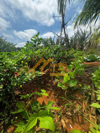 Imagem Fazenda à Venda, 34.000 m² em Vale San Fernando - Itapetininga Imagem Fazenda à Venda, 34.000 m² em Vale San Fernando - Itapetininga