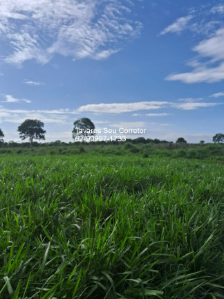 Imagem Imóvel à Venda, em Zona Rural - Porangatu Imagem Imóvel à Venda, em Zona Rural - Porangatu