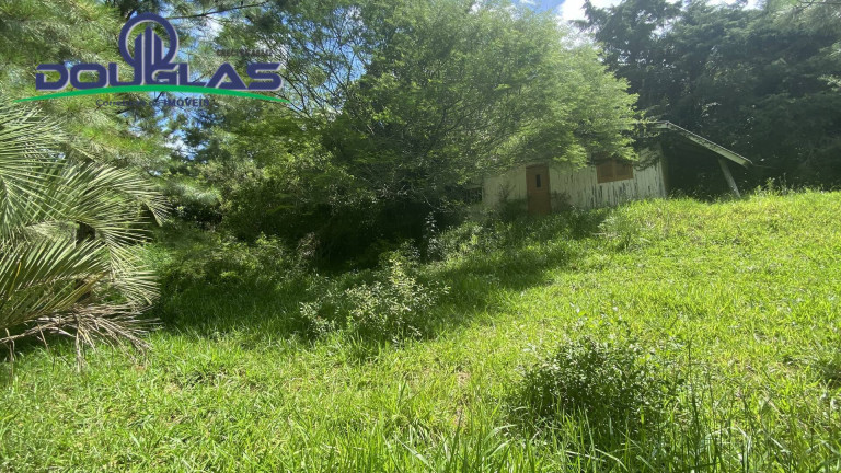 Imagem Terreno à Venda, 5.000 m² em Viamão Imagem Terreno à Venda, 5.000 m² em Viamão