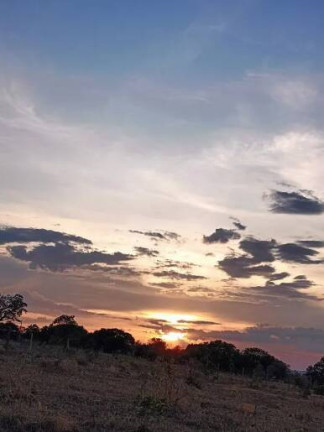 Imagem Chácara com 3 Quartos à Venda, 50.000 m² em Centro - Luziânia