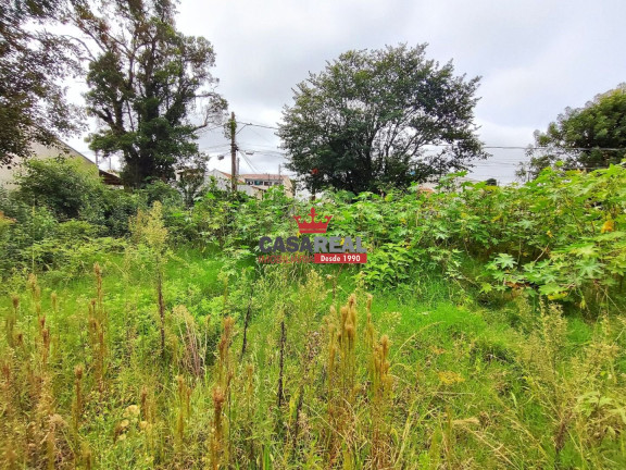 Terreno à Venda,  em São Braz - Curitiba