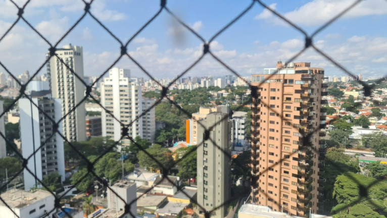 Imagem Imóvel com 4 Quartos para Alugar, 466 m² em Moema - São Paulo Imagem Imóvel com 4 Quartos para Alugar, 466 m² em Moema - São Paulo
