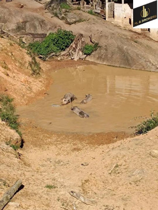 Imagem Imóvel com 2 Quartos à Venda, 182.000 m² em Zona Rural - Tunas Do Parana Imagem Imóvel com 2 Quartos à Venda, 182.000 m² em Zona Rural - Tunas Do Parana