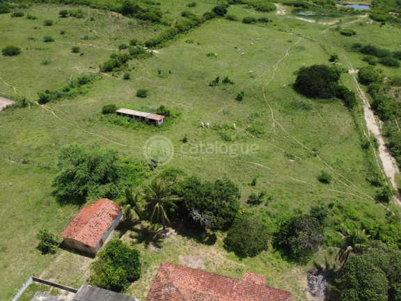 Imagem Fazenda à Venda, 300.000 m² em Lagoa Do Mato - Monte Alegre Imagem Fazenda à Venda, 300.000 m² em Lagoa Do Mato - Monte Alegre