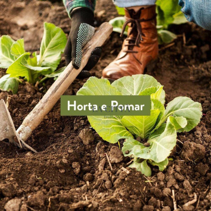 Imagem Terreno à Venda, 231 m² em Rio Do Meio - Itajaí Imagem Terreno à Venda, 231 m² em Rio Do Meio - Itajaí