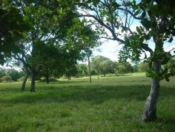 Fazenda à Venda, 1.150 m² em Zona Rural - São Miguel Do Araguaia