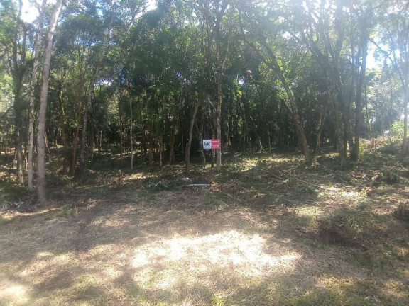 Imagem Terreno à Venda, em Planta Granjas Eldorado - Piraquara Imagem Terreno à Venda, em Planta Granjas Eldorado - Piraquara