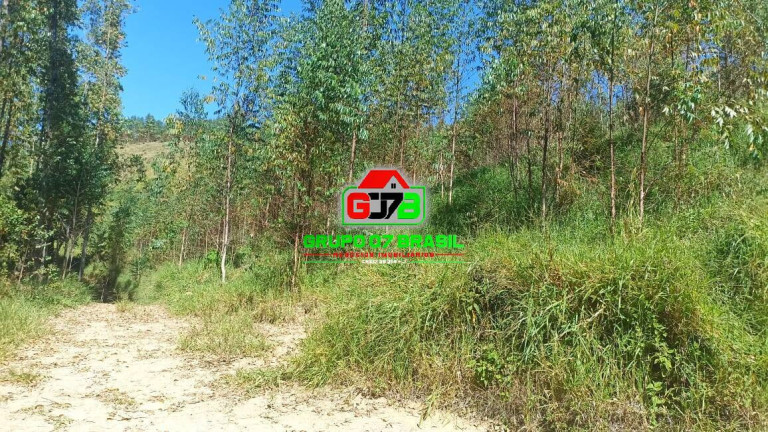 Imagem Chácara à Venda, 10 m² em Zona Rural De Paraibuna - Paraibuna