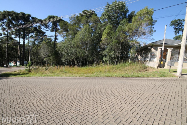Imagem Terreno à Venda, 700 m² em Avenida Central - Gramado Imagem Terreno à Venda, 700 m² em Avenida Central - Gramado