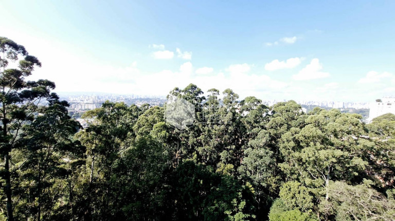 Imagem Apartamento com 3 Quartos à Venda, 510 m² em Vila Suzana - São Paulo