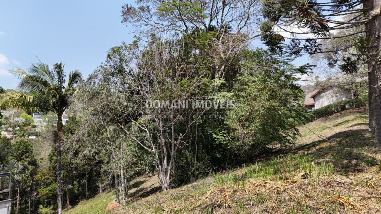 Imagem Terreno à Venda, 1.215 m² em Região De Santo Antônio Do Pinhal - Santo Antônio Do Pinhal Imagem Terreno à Venda, 1.215 m² em Região De Santo Antônio Do Pinhal - Santo Antônio Do Pinhal