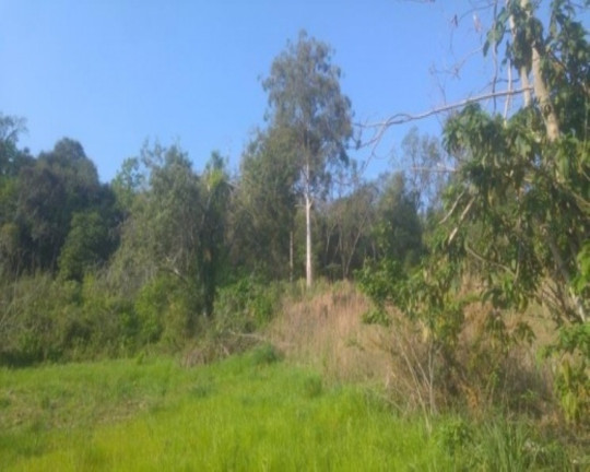 Imagem Terreno à Venda, 3.382 m² em Vale Verde - Nova Petrópolis Imagem Terreno à Venda, 3.382 m² em Vale Verde - Nova Petrópolis