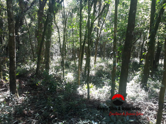 Imagem Terreno à Venda, 1 m² em Campos Do Jordão Imagem Terreno à Venda, 1 m² em Campos Do Jordão