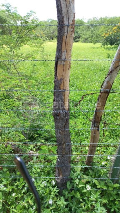 Imagem Fazenda à Venda, 3.000.000 m² em Rural - Jandaíra Imagem Fazenda à Venda, 3.000.000 m² em Rural - Jandaíra