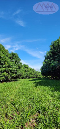 Imagem Terreno à Venda, 76.700 m² em Aparecida D`oeste - Aparecida D`oeste Imagem Terreno à Venda, 76.700 m² em Aparecida D`oeste - Aparecida D`oeste