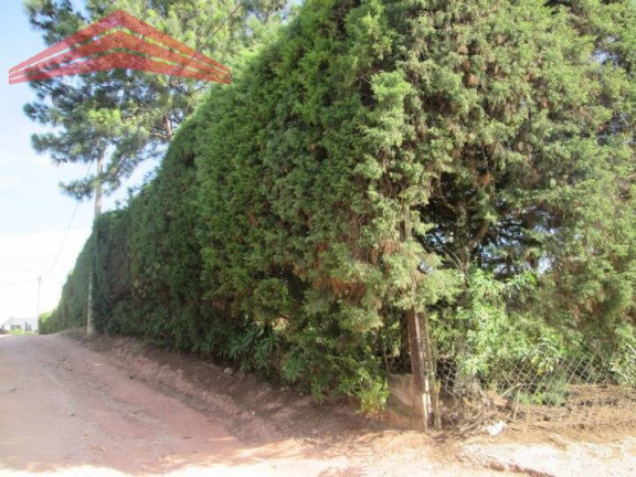 Imagem Terreno à Venda, 42.000 m² em Distrito Industrial - Itupeva Imagem Terreno à Venda, 42.000 m² em Distrito Industrial - Itupeva